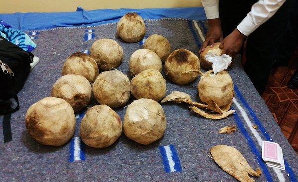 Llevaban más de 16 kilos de clorhidrato de cocaína ocultos en cocos