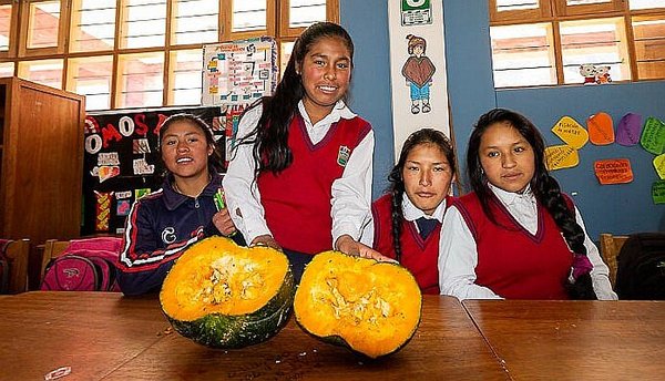 Escolares de Ollantaytambo podrán crear sus iniciativas de negocio en Cusco (FOTOS)