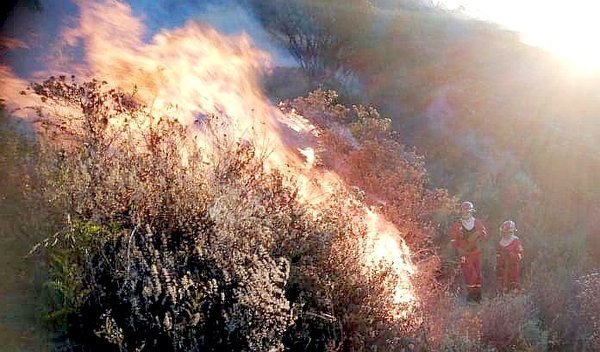 Autoridades de Cusco buscan sancionar drásticamente a quienes inicien incendios forestales